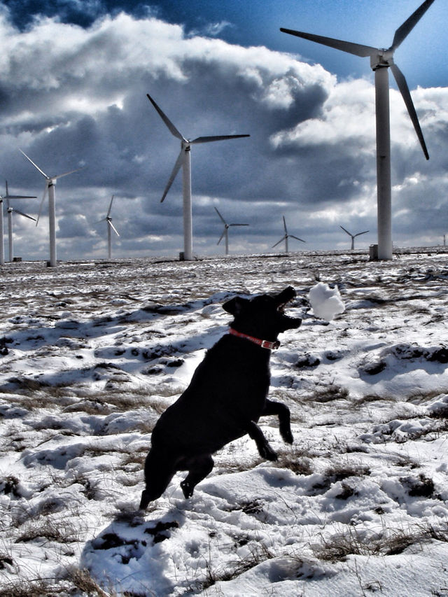 Turbines