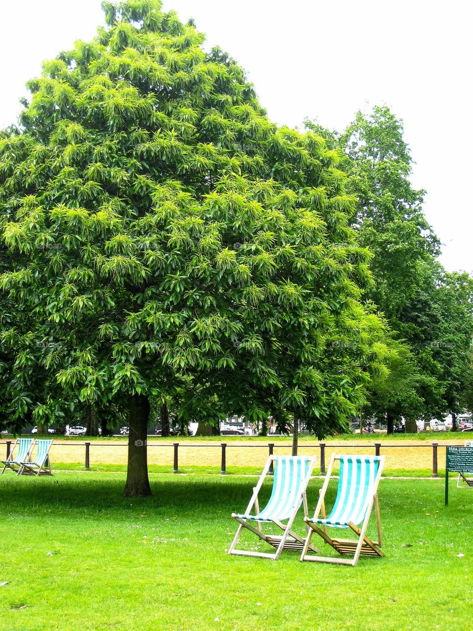 Park in london