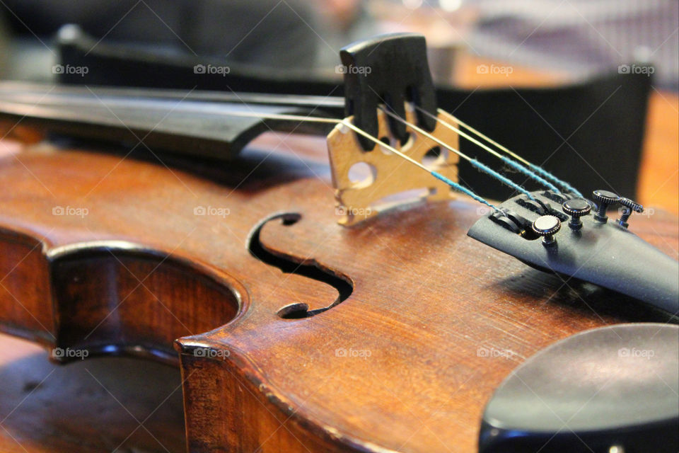 Violin Close-Up