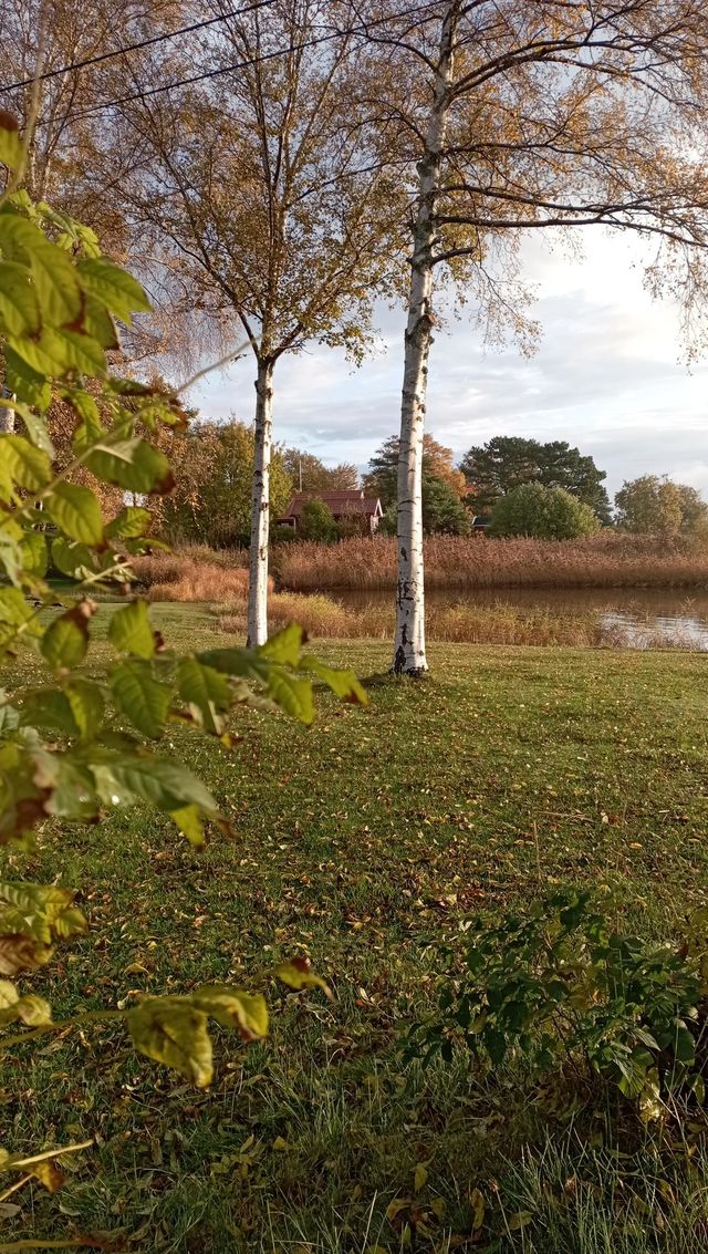 Nature in Autumn