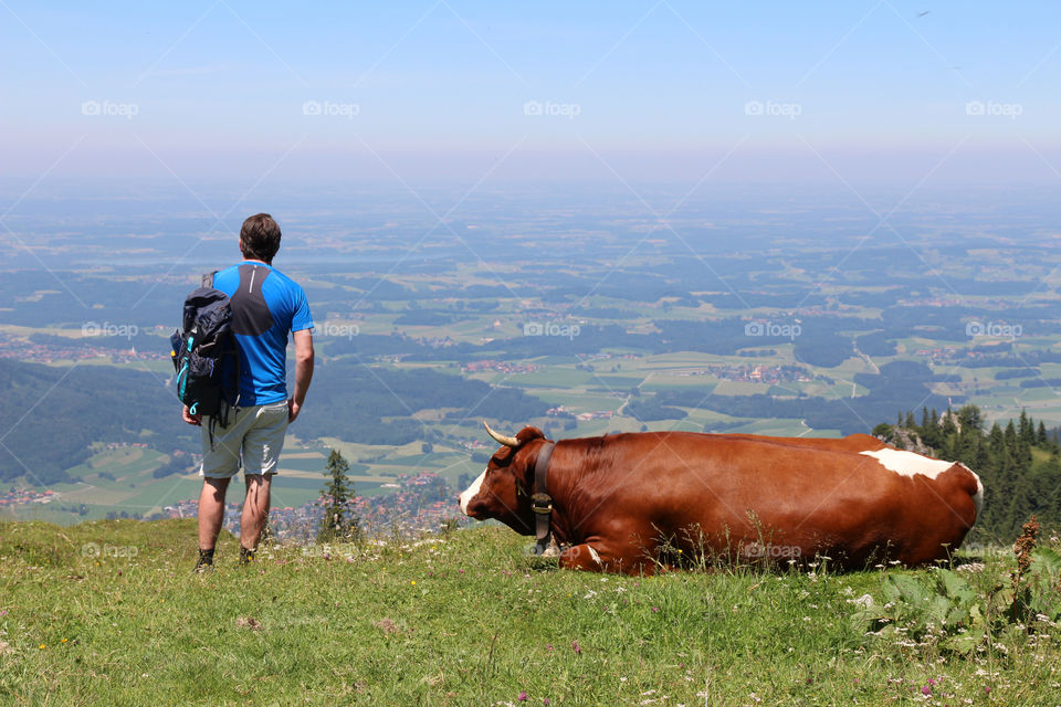 Rear view of a man looking at view