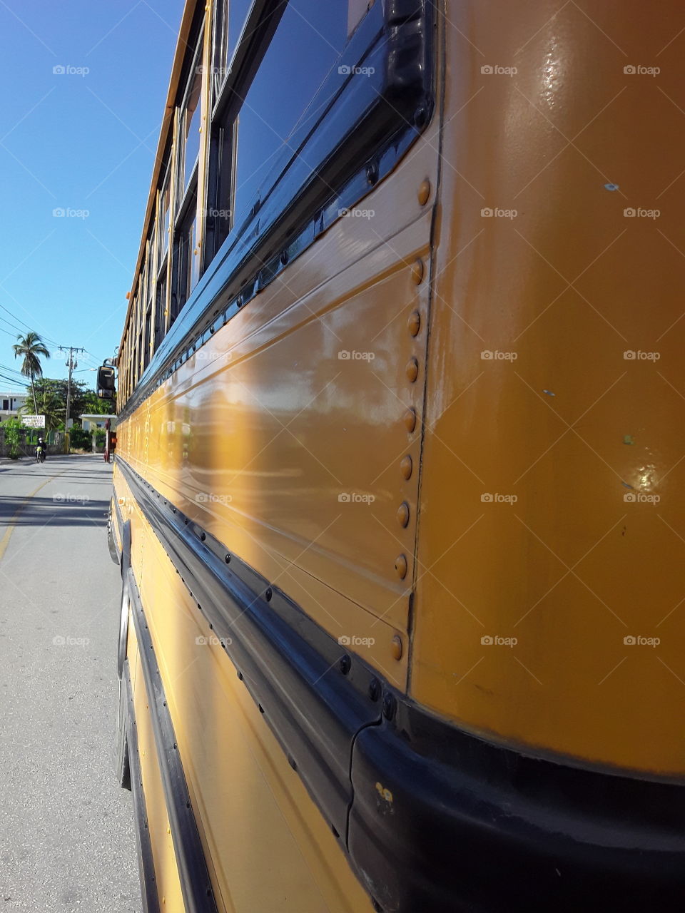 жёлтый автобус перспектива