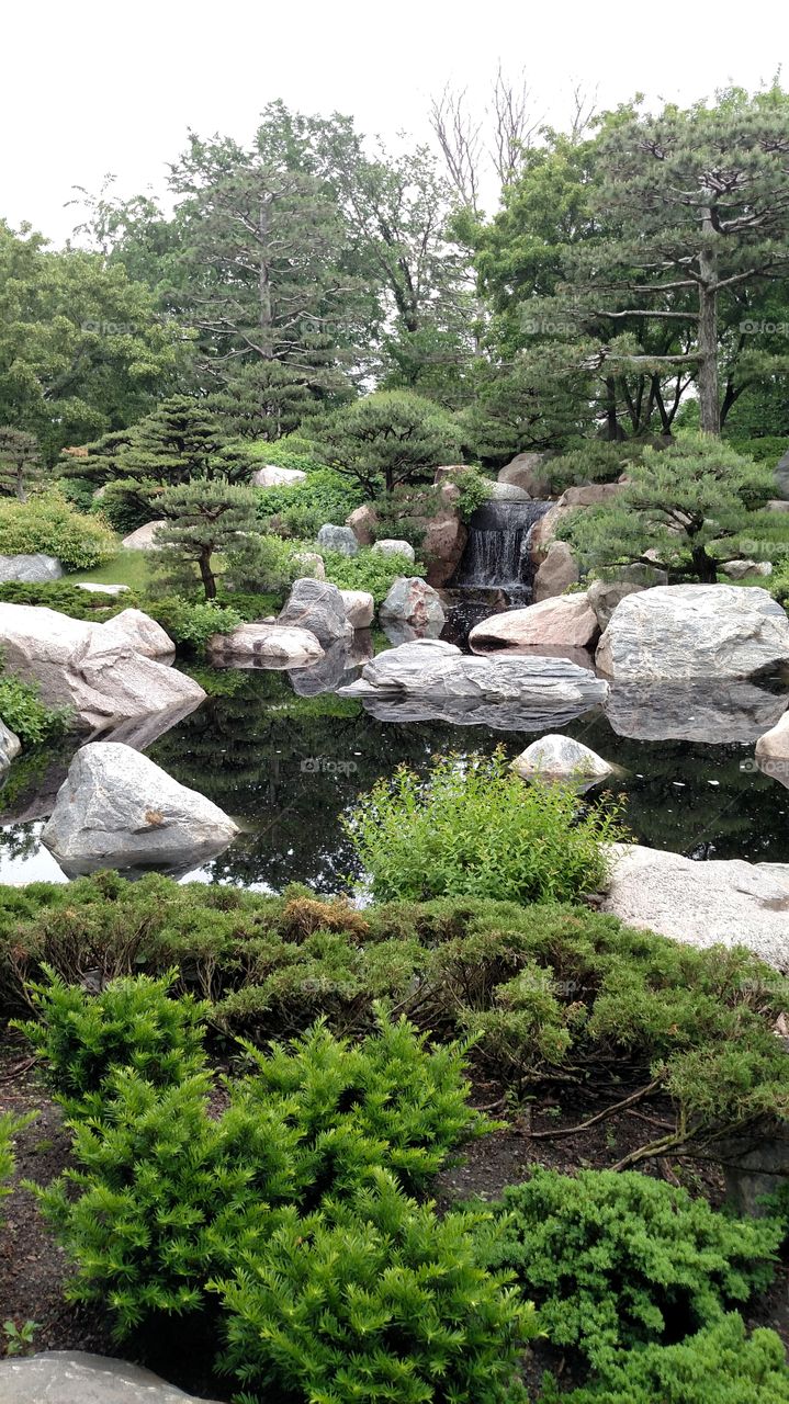 Japanese garden, Como park.