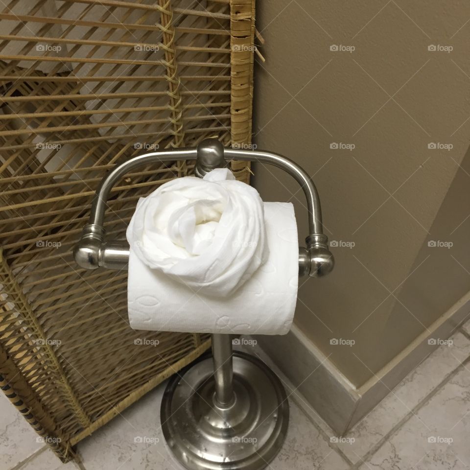 Bathroom details with toilet paper 
