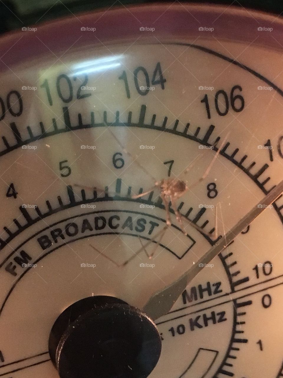 🕷 Spider on the radio dial 