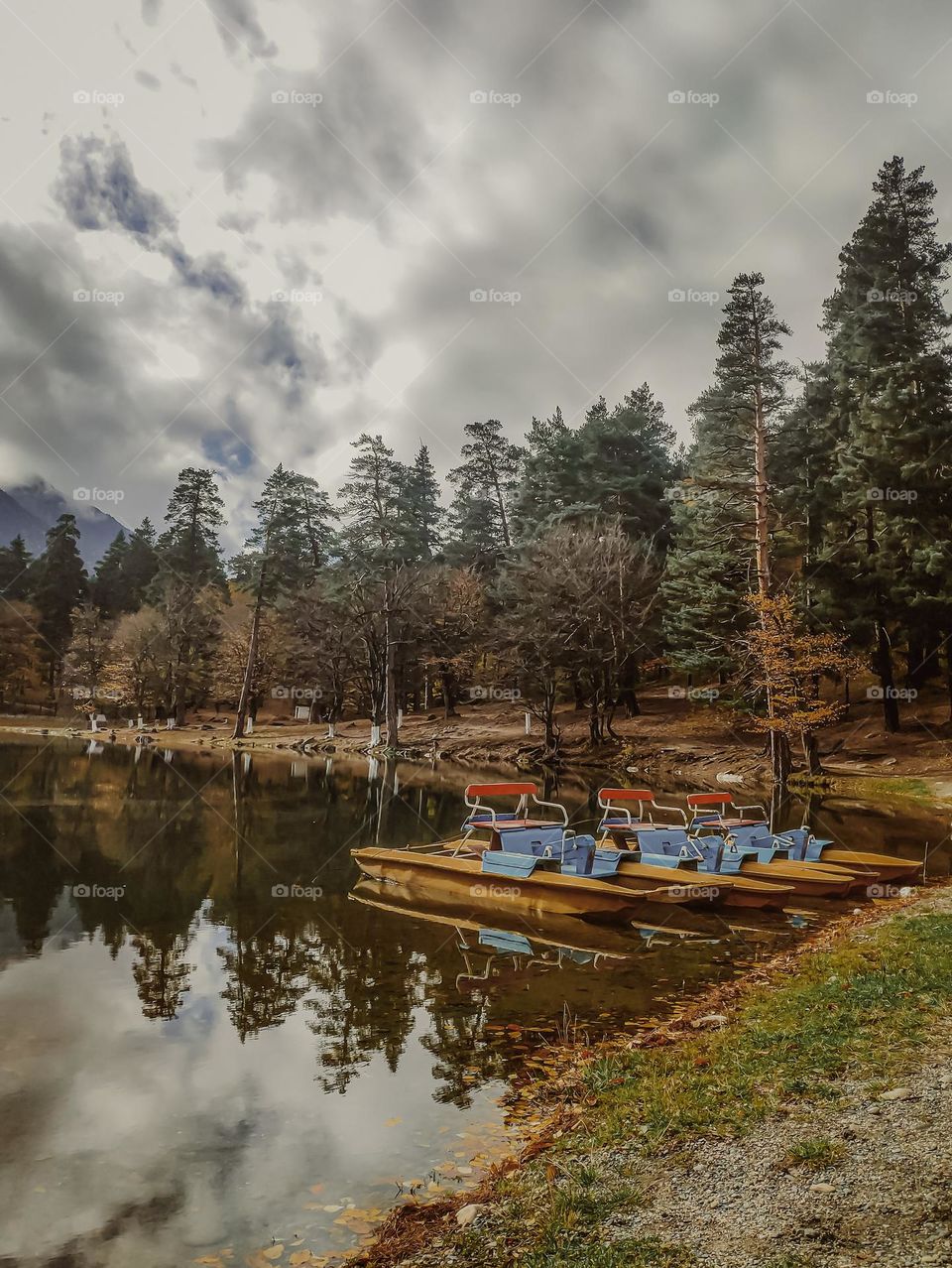 Catamarans on the lake in the forest