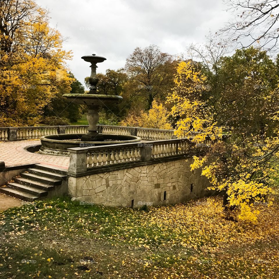 Fall, Tree, Park, No Person, Outdoors