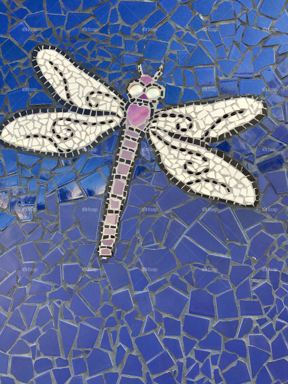 Dragonfly Mosaic