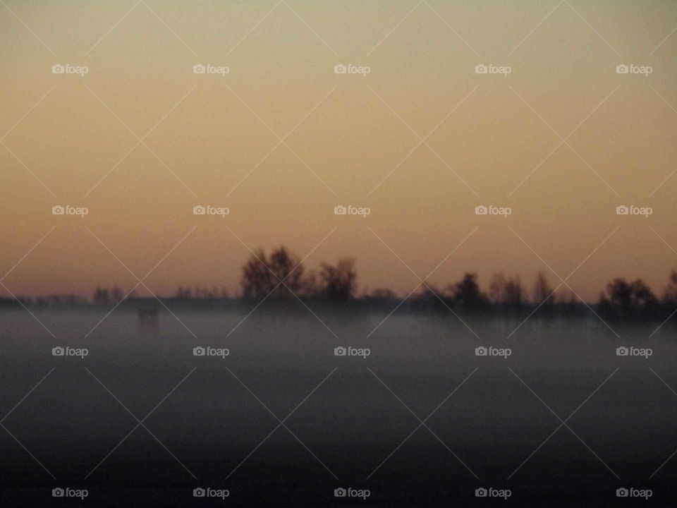 Bodennebel am Morgen