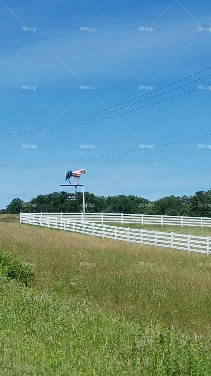 Horse Farm