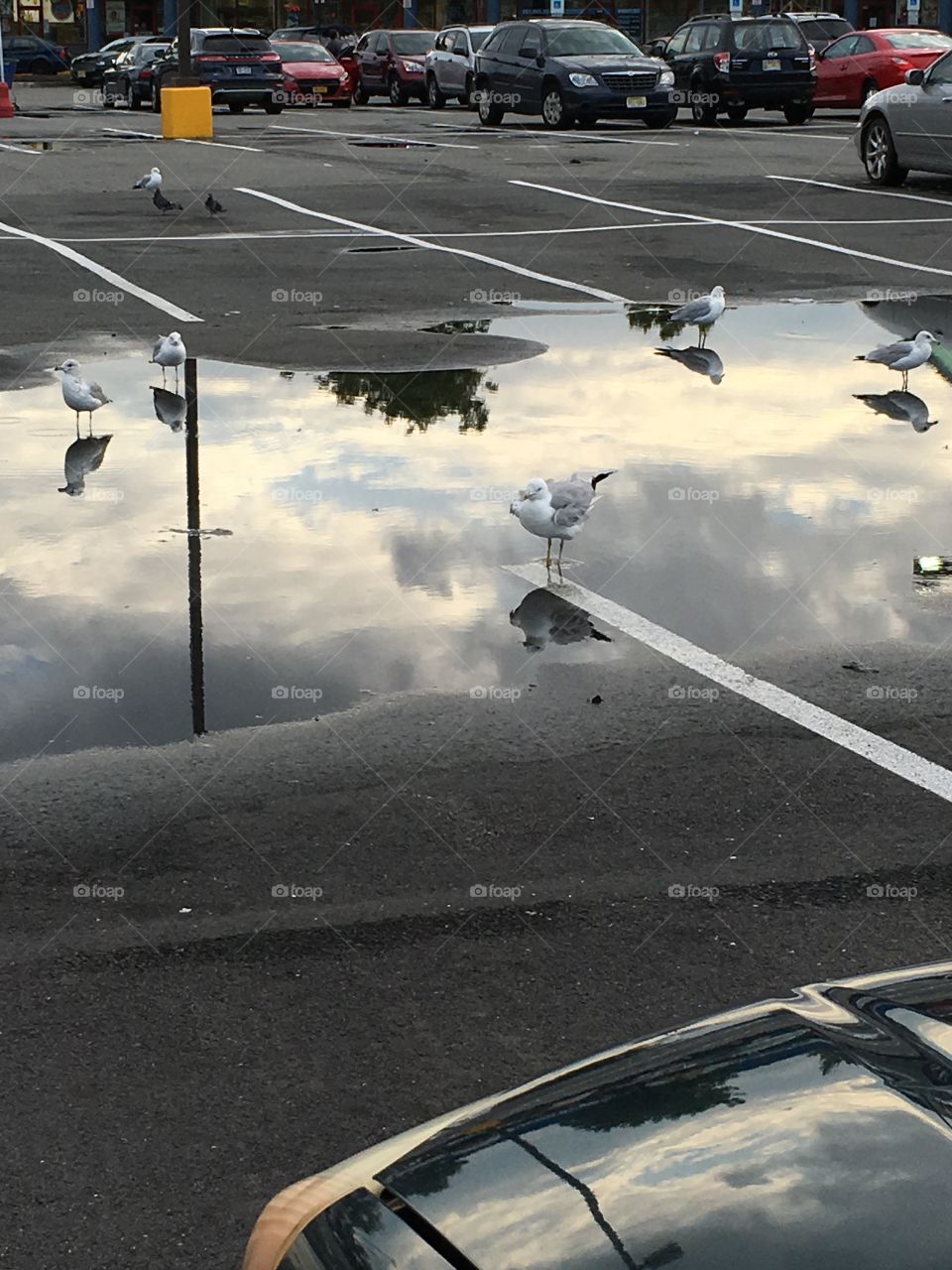 New Jersey Watering Hole