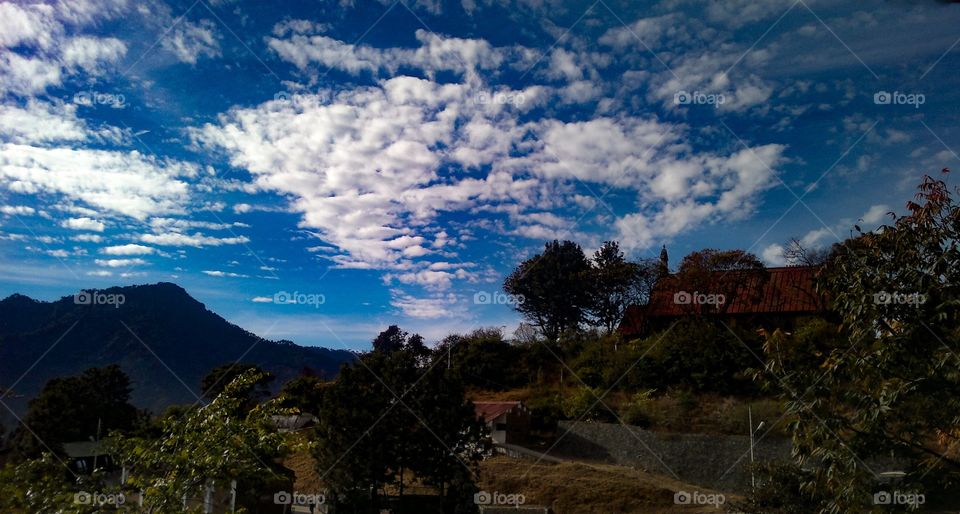 Solan ,India