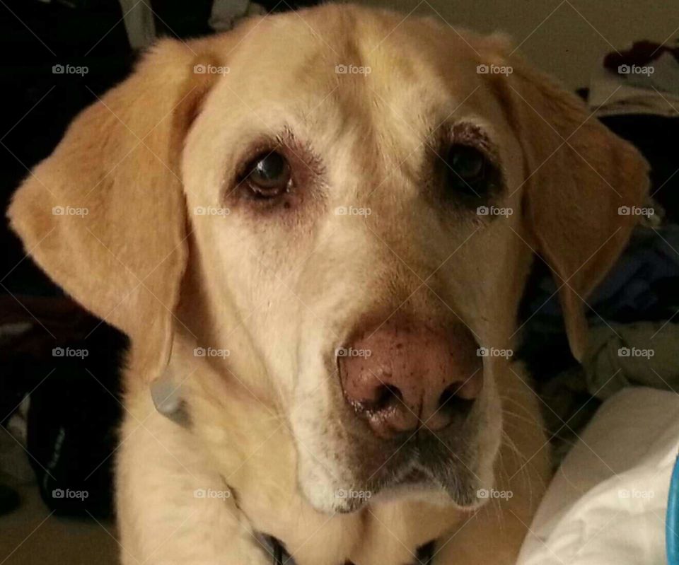 Staring Into My Heart And Soul