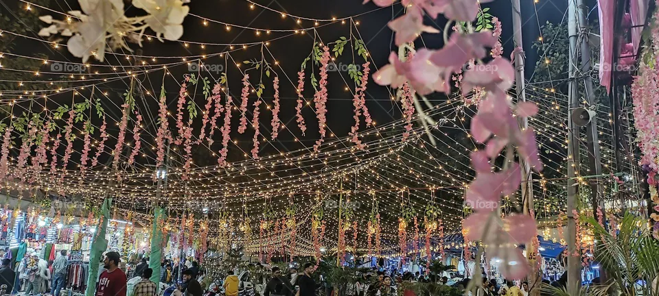 Festival Lightings