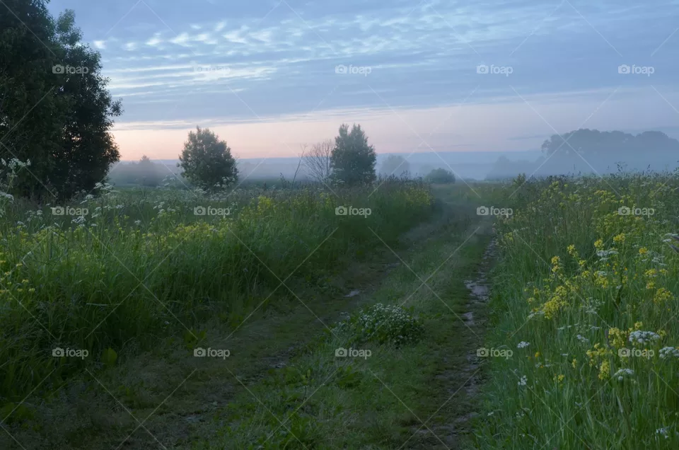 nature