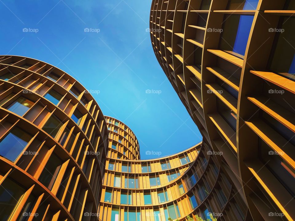 Look up life’s good