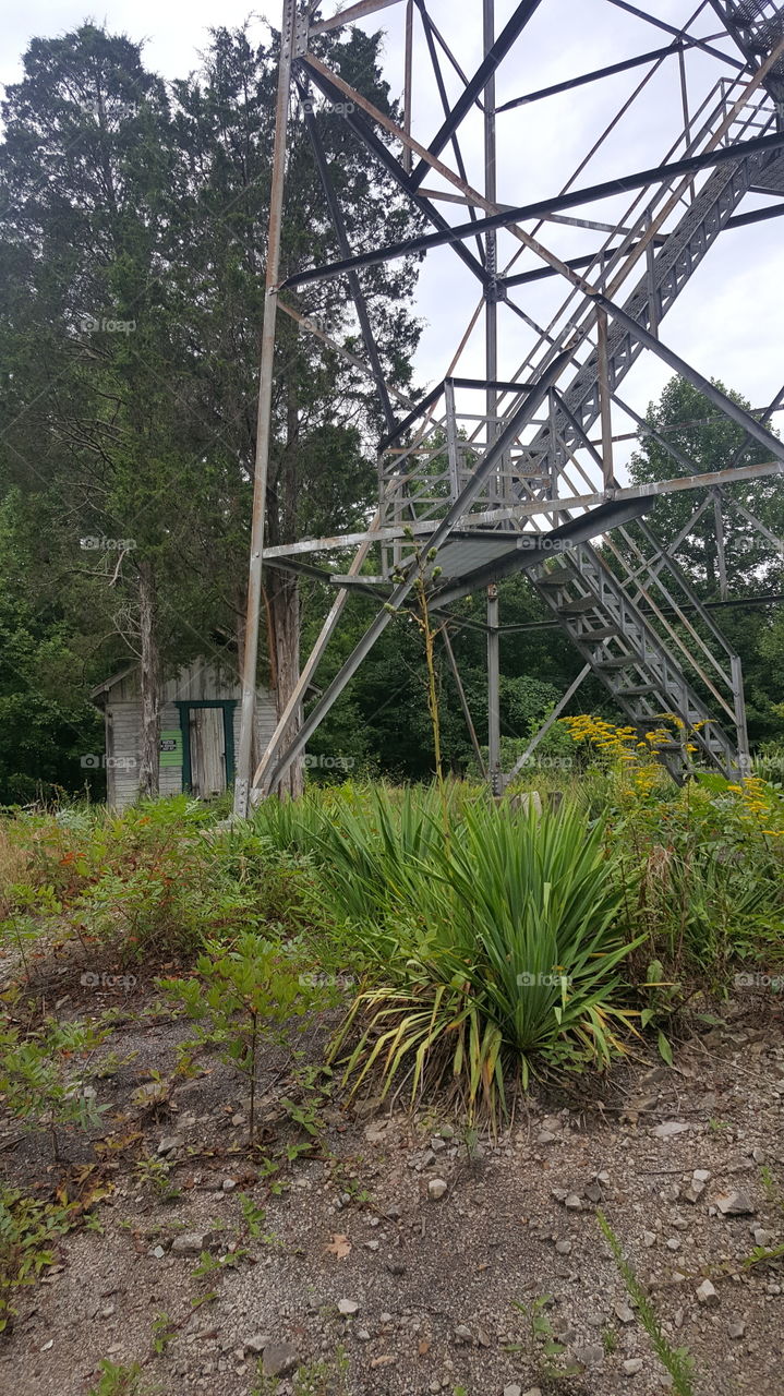 Fire Tower