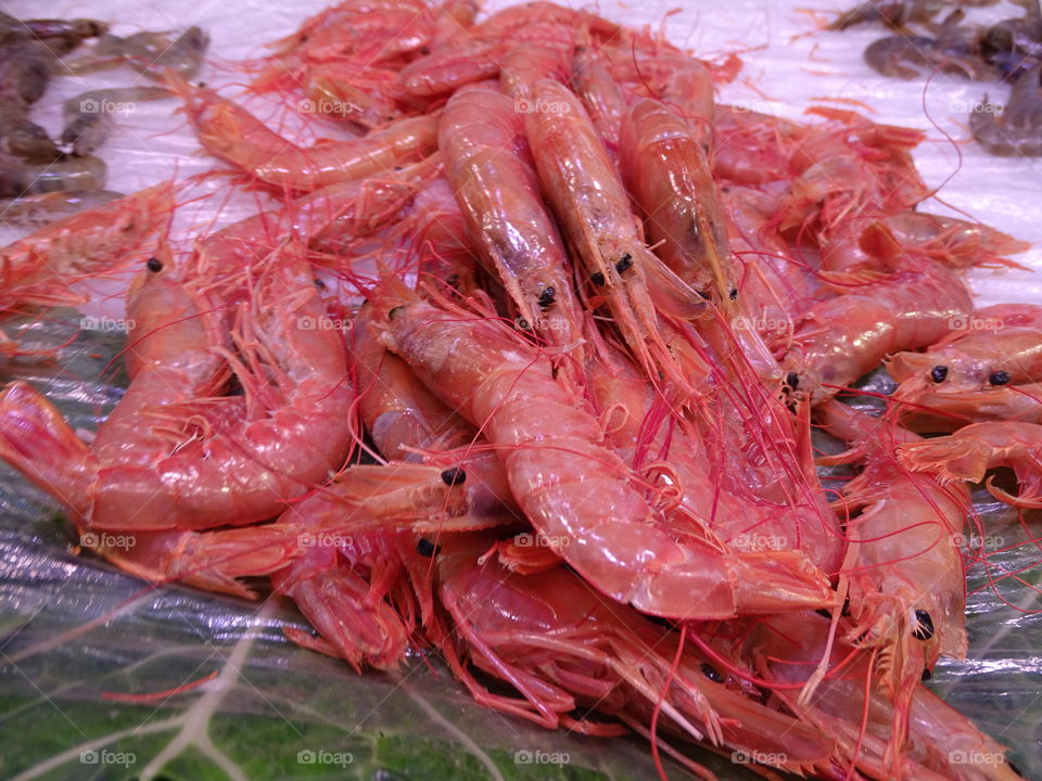 Fresh Shrimps @ Mercat la Boqueria