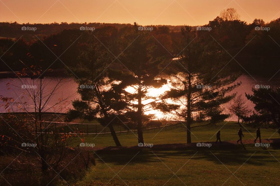 Distant view of lake