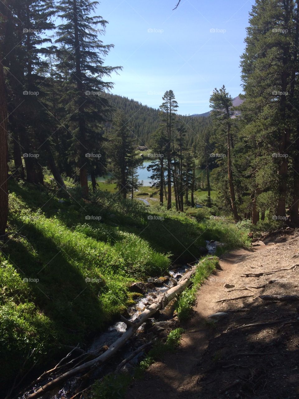Lake trail