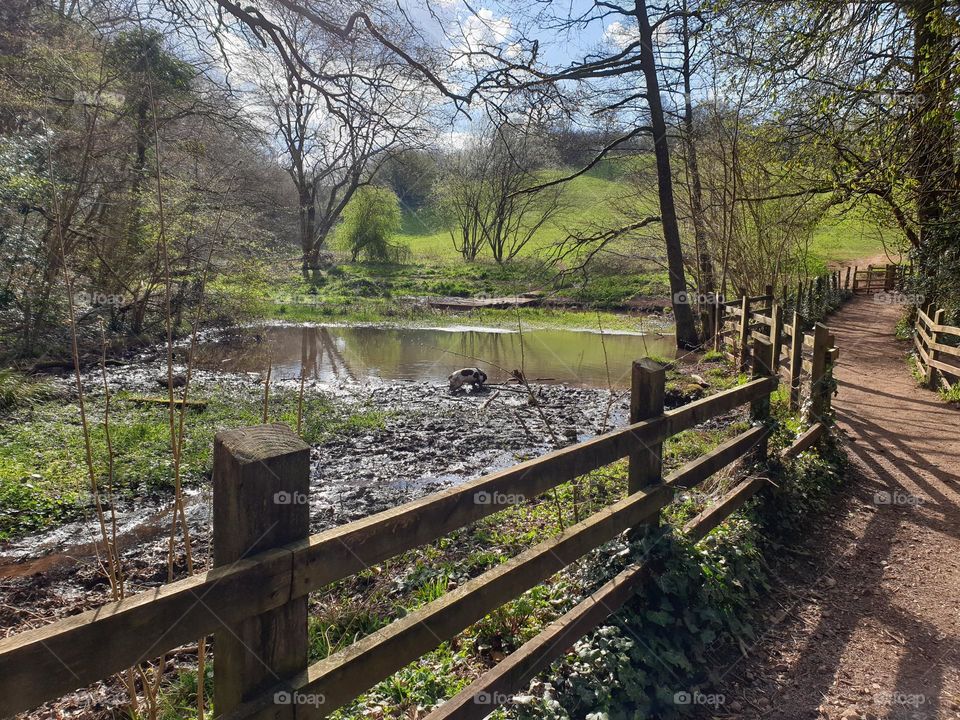 dog hiding amidst the mud of a protected area