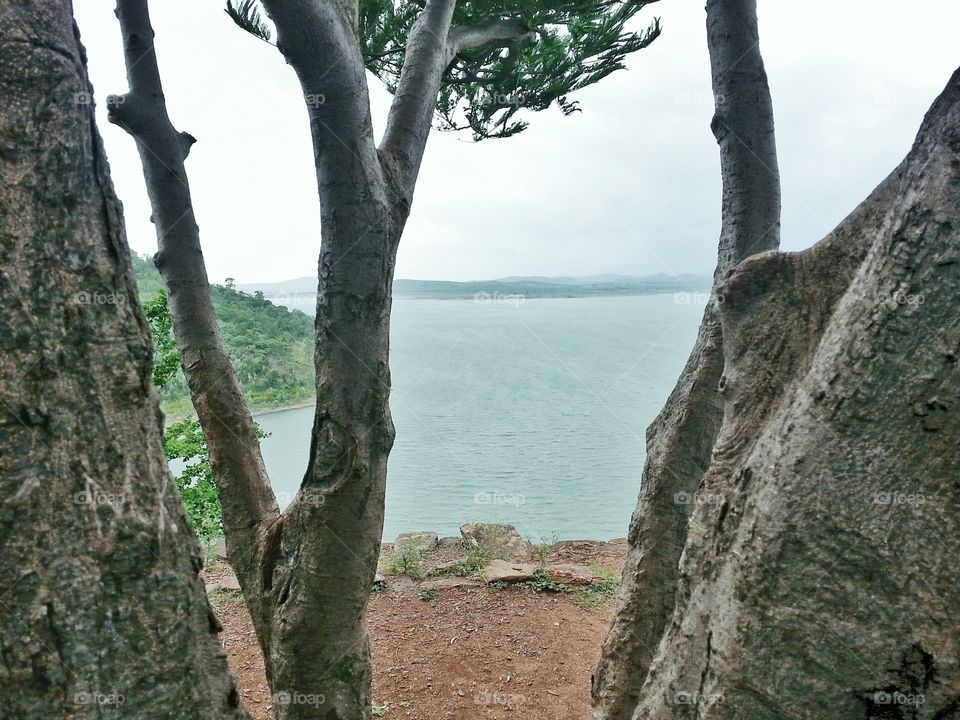 In between two trees. a lake seen in between  two trees