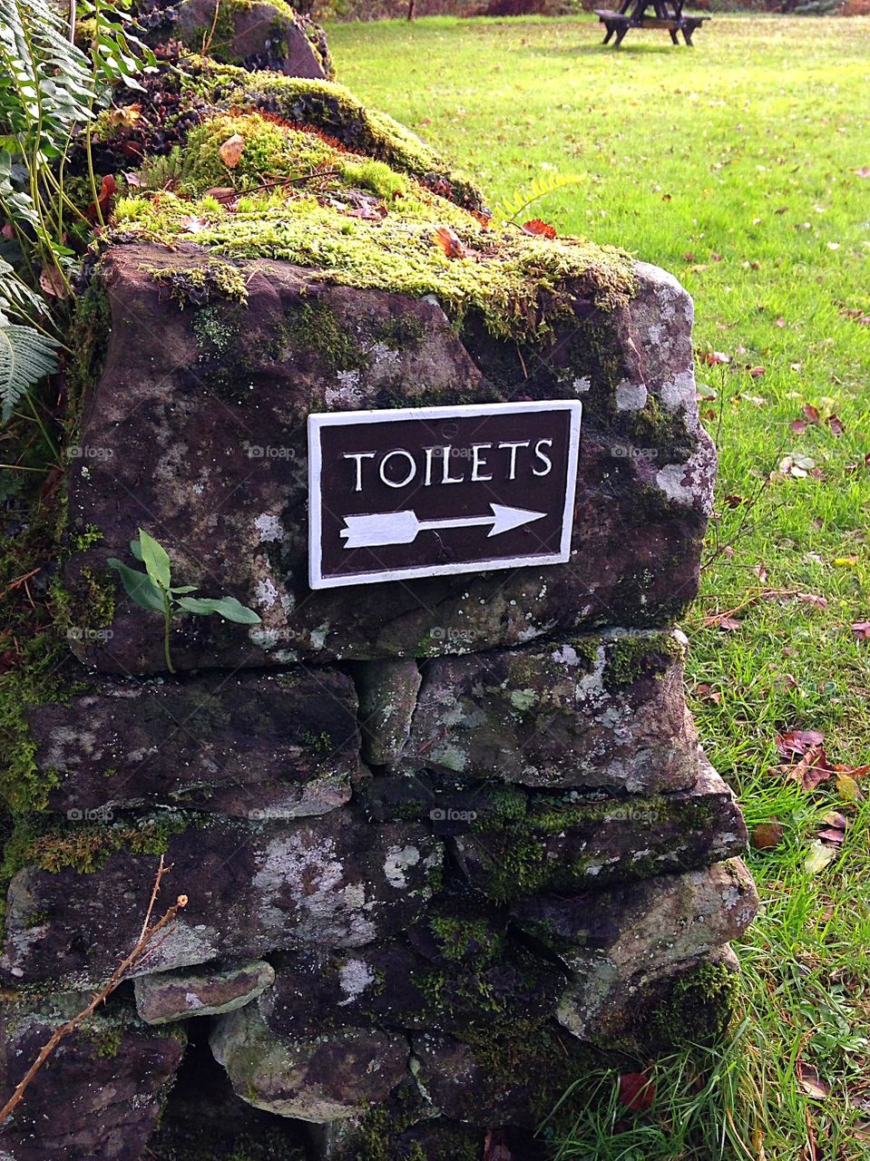 This way to the toilets, Inchmahome Priory, Scotland 