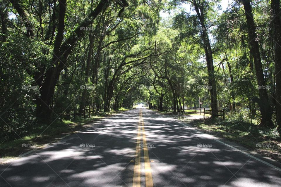 A road less traveled