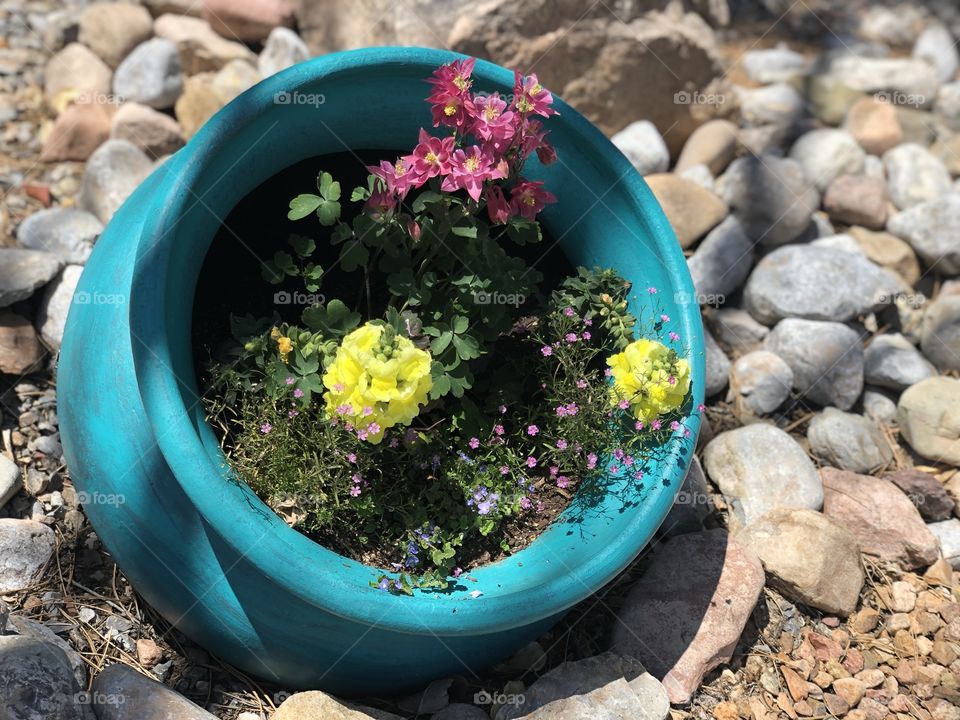 Turquoise pot with flowers