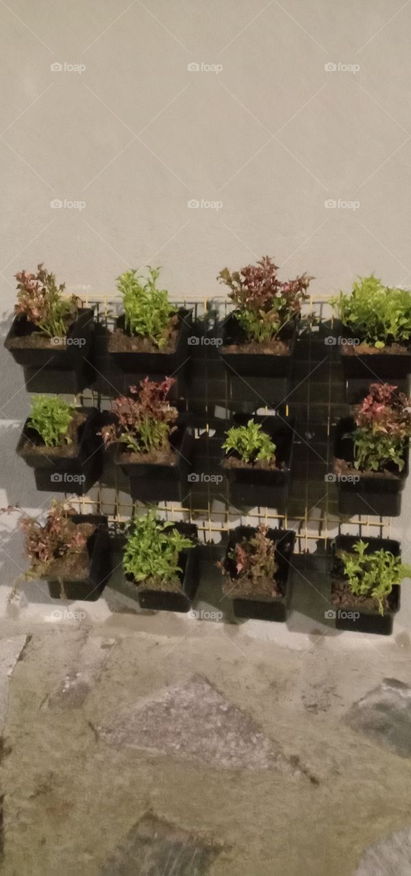 Any planting ideas...😍❤️