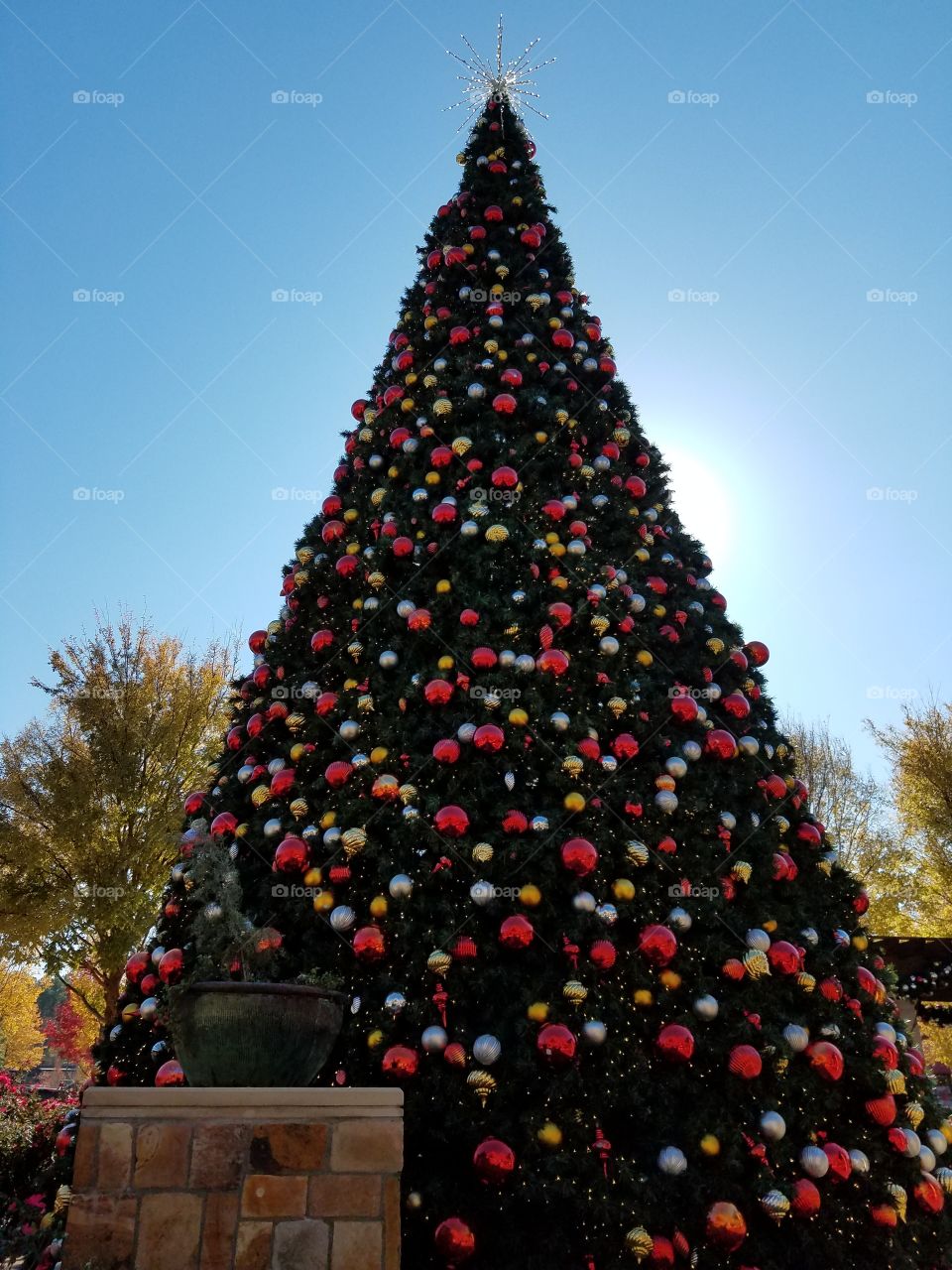 Christmas in Georgia