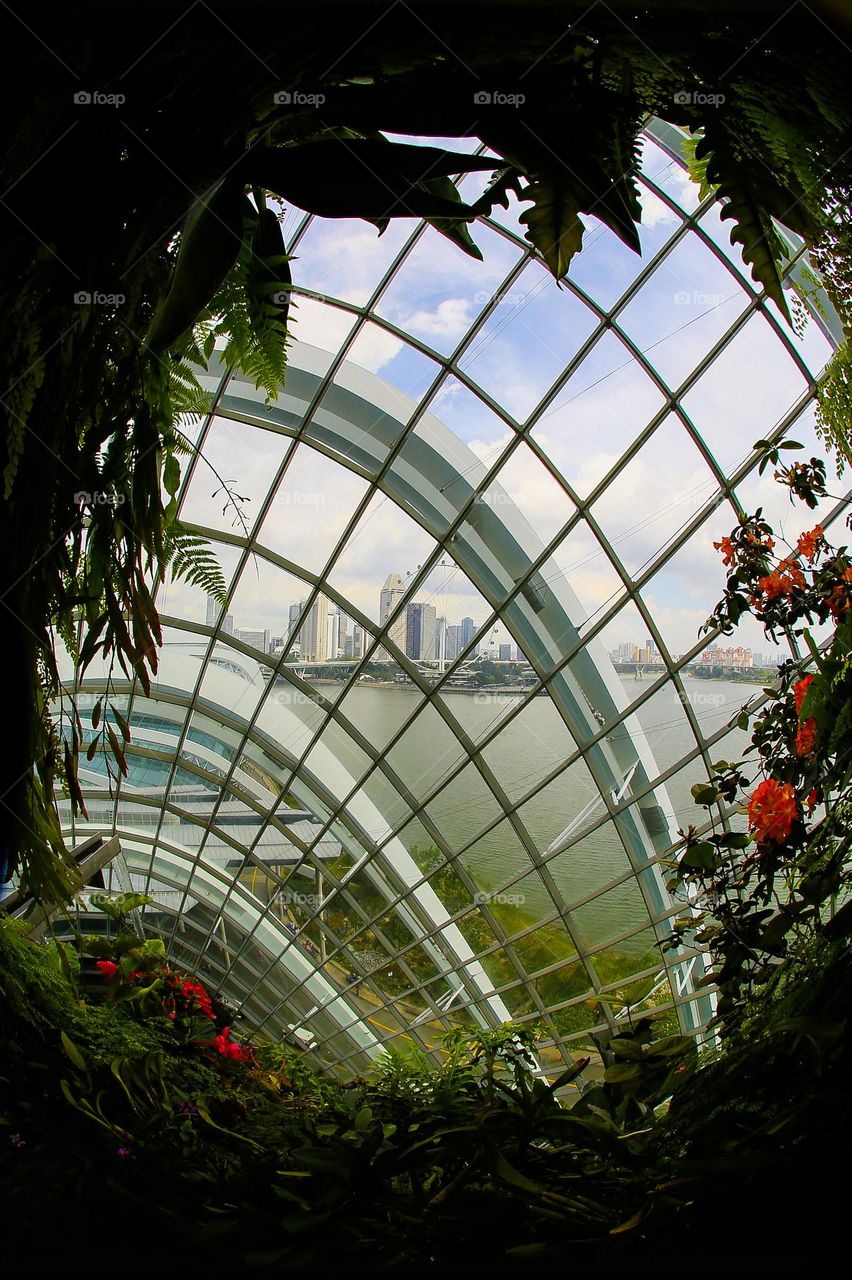 Indoor garden with glass windows