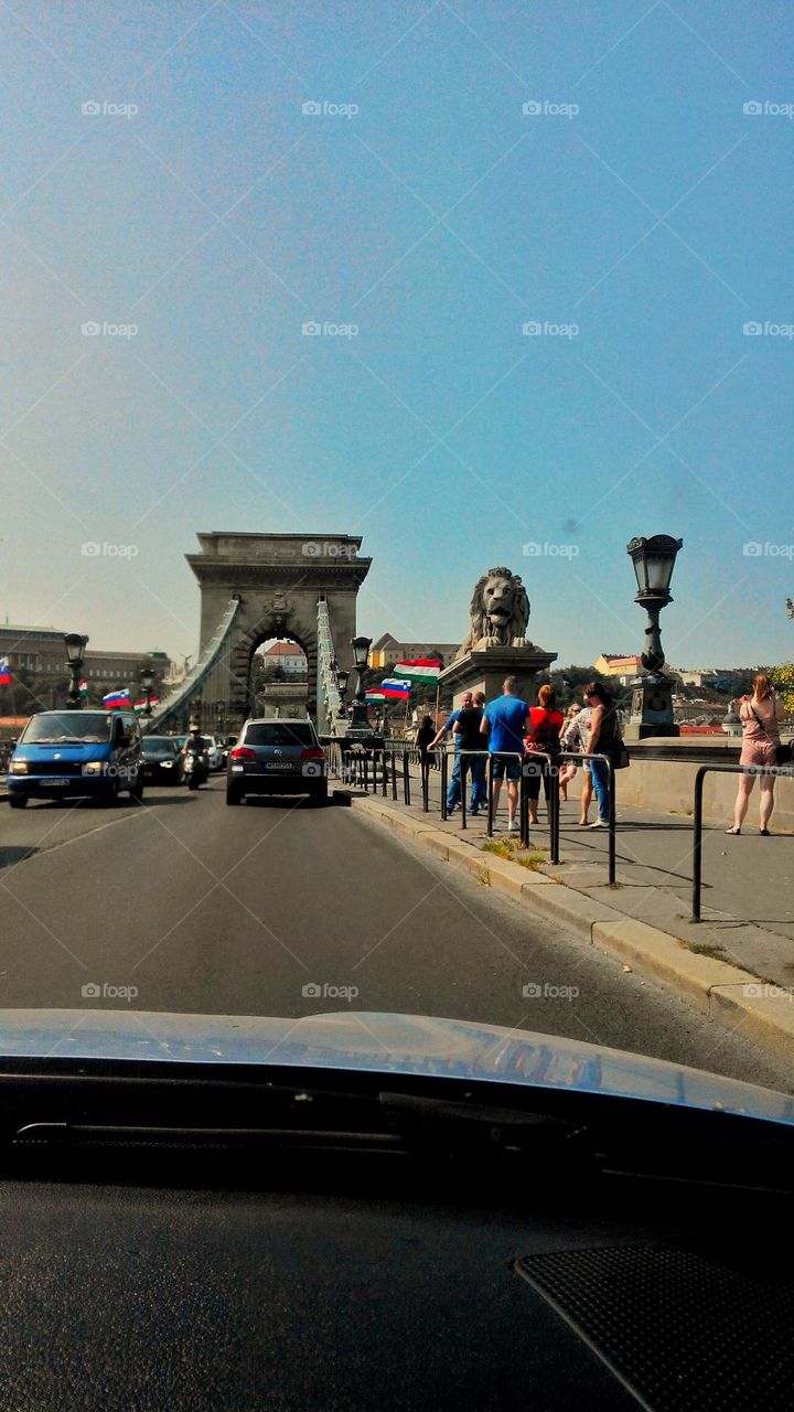 Lion bridge Budapest