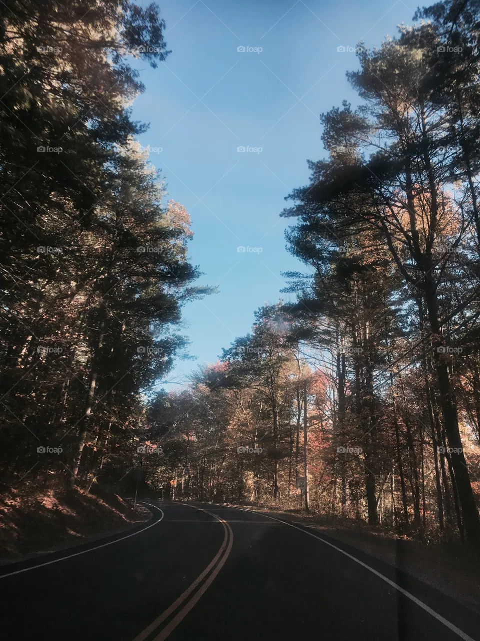 Fall 