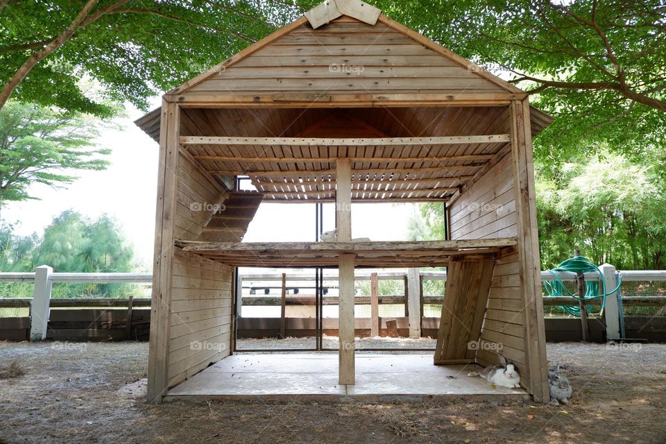 The house of the rabbit and the other rabbit members is a two-story house with stairs.