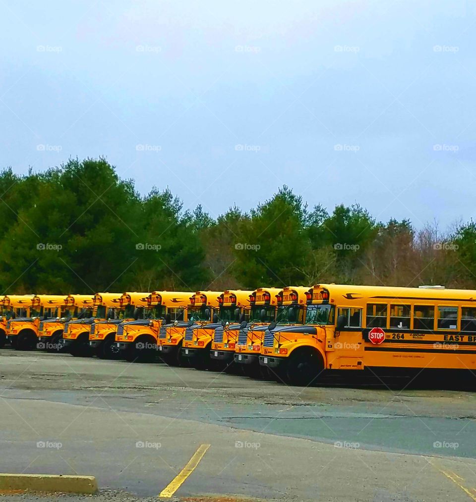 Pic of school buses parked in a row at the end of a day in a huge parking lot. Blue sky & blacktop finish this wallpaper.