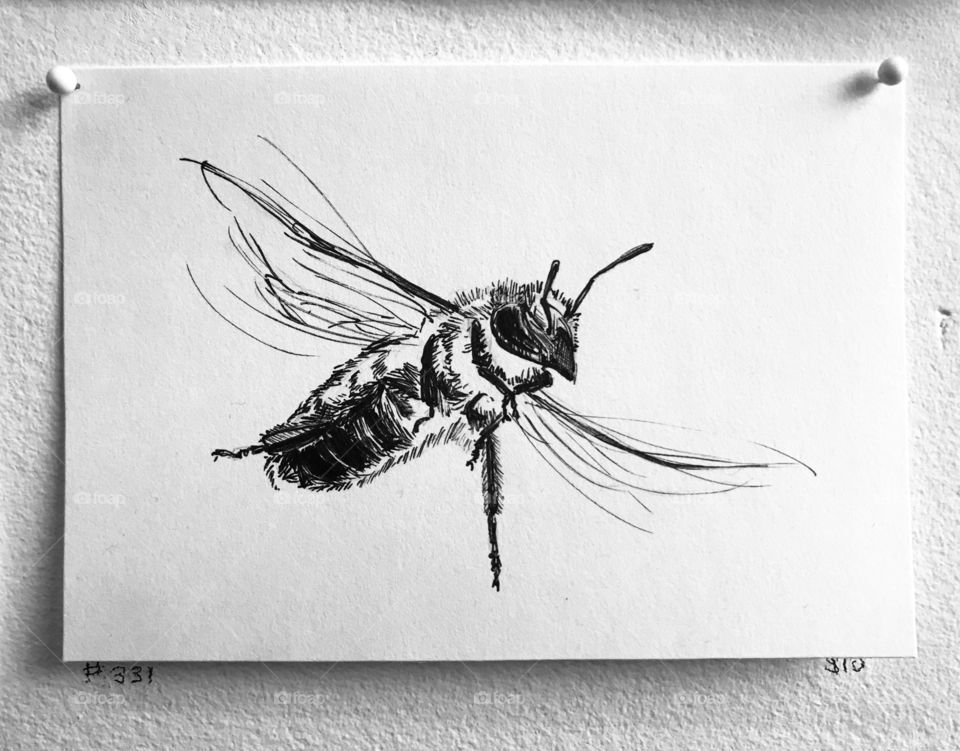 Bee illustration as part of a gallery wall in coffee shop in Portland. 