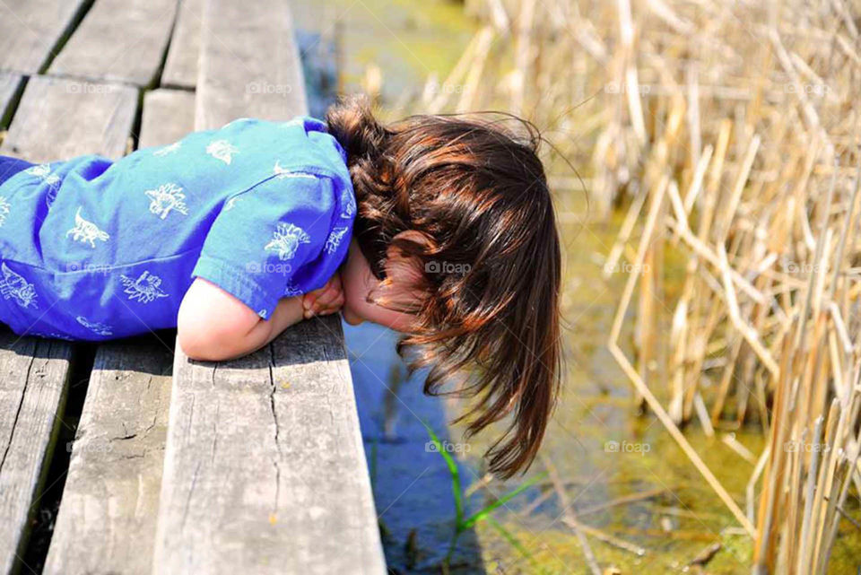 curious tot. Curious little tot peers into marsh at Rollins savanna preserve near Chicago Illinois