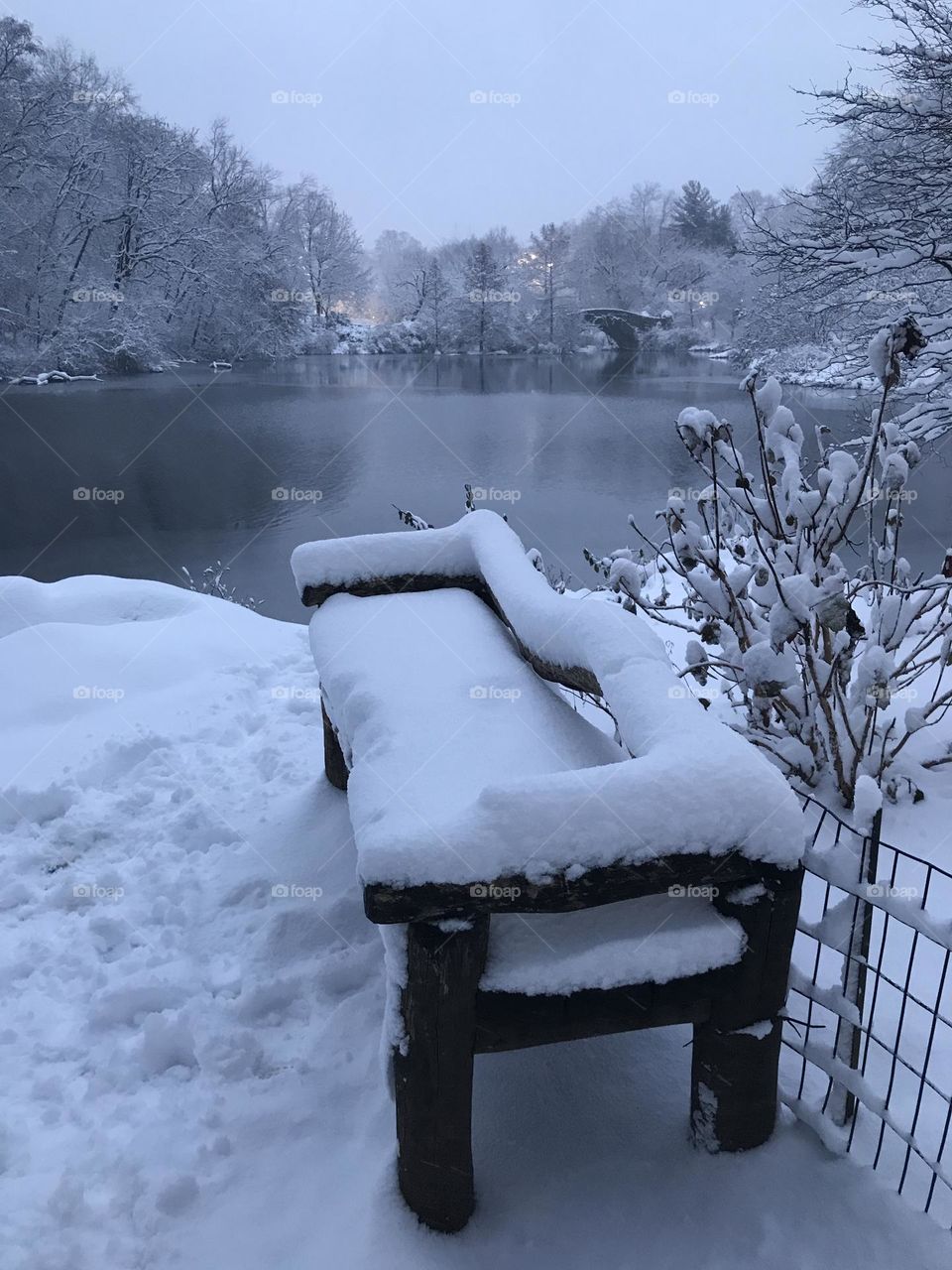 Snowy bench by the pond