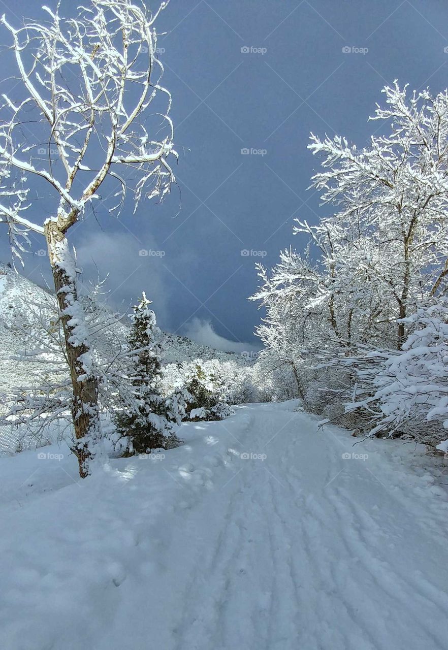 A winter storm moving across the valley on a snow laden morning