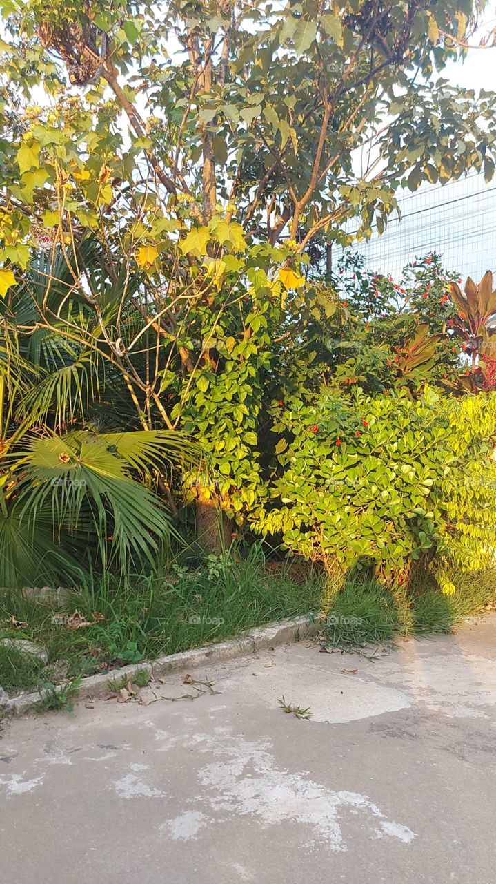 alegria para vida toda