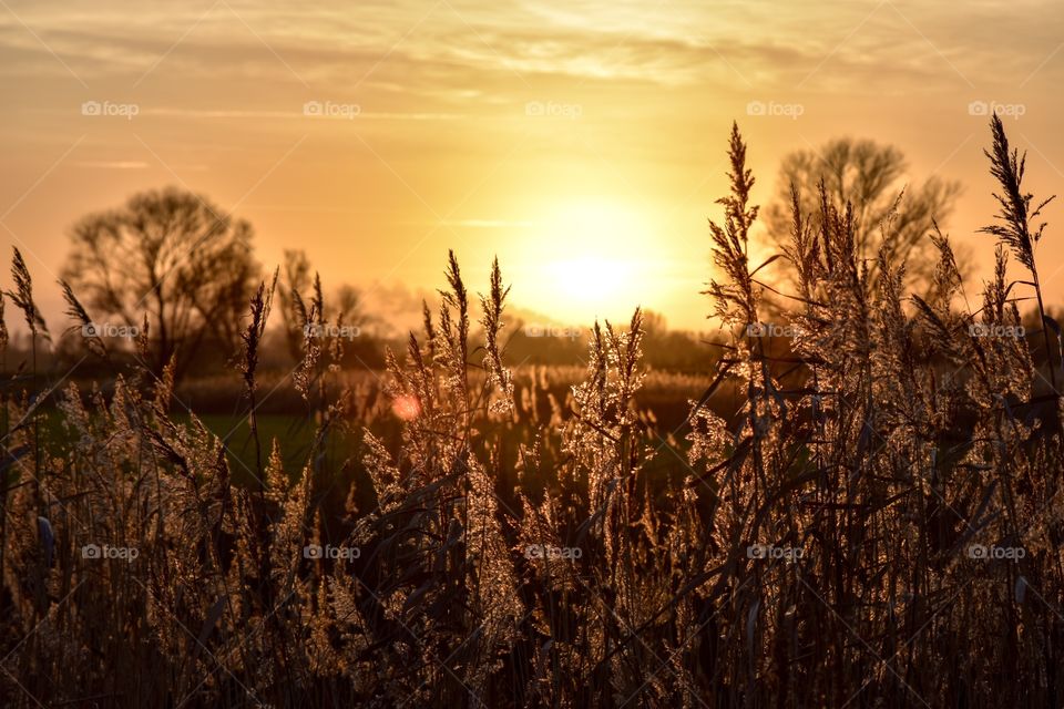 Golden hour, sunset