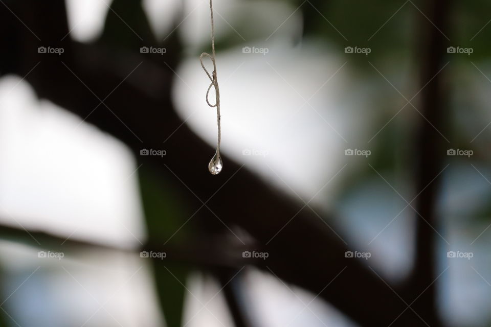 water drop micro(close up) background.