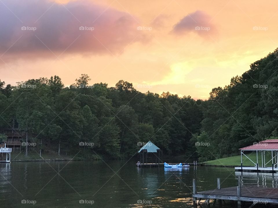 Water, Lake, Tree, River, Reflection