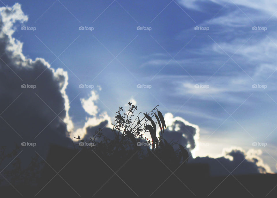 Sky, No Person, Landscape, Nature, Outdoors