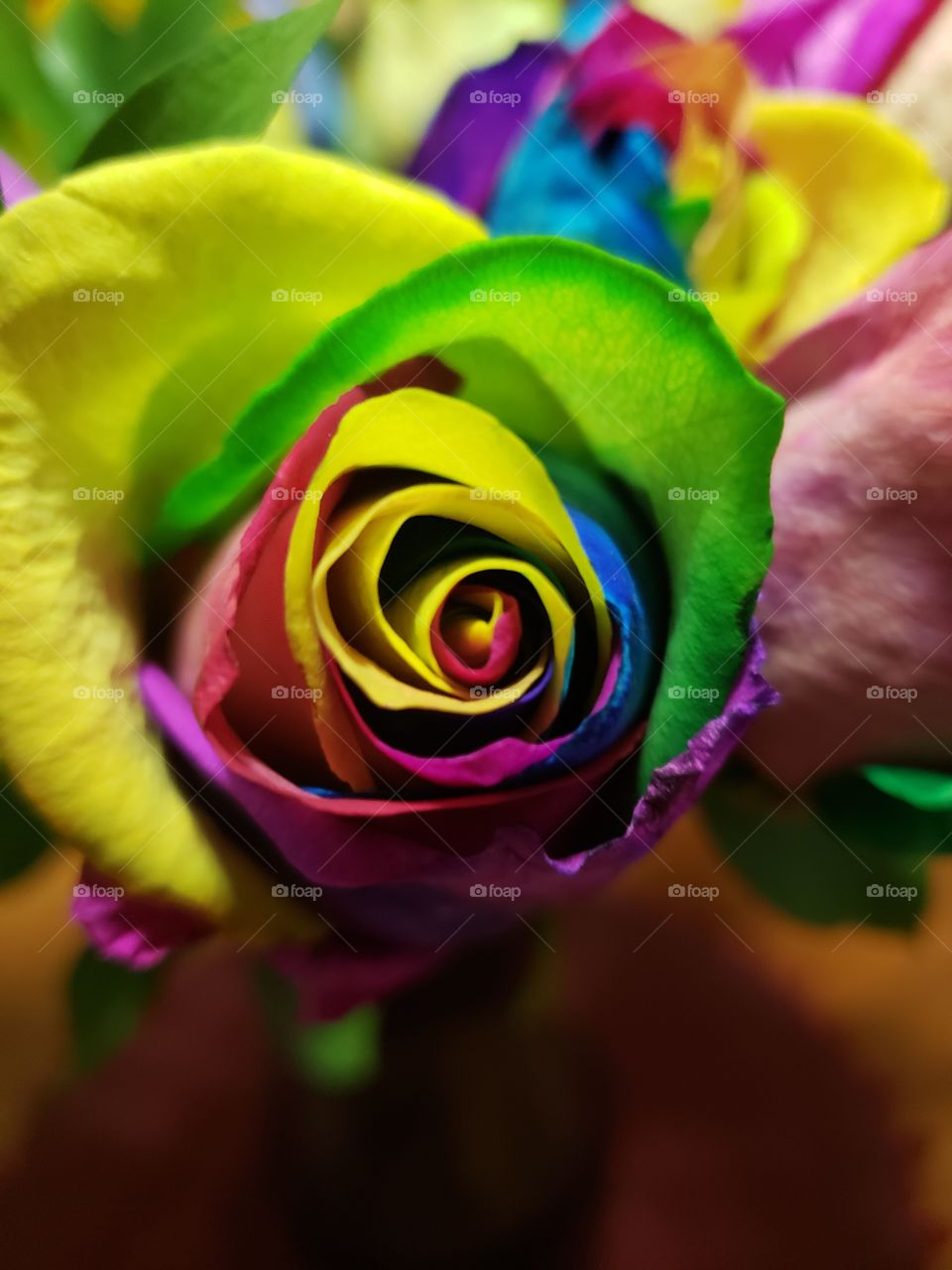 Suprise colorful vibrant multicolored roses smells yummy