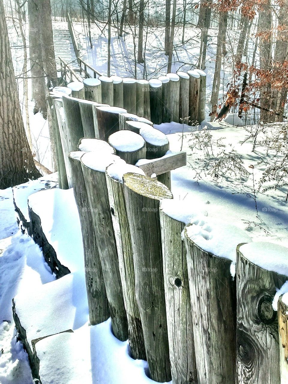 Snow Capped Posts