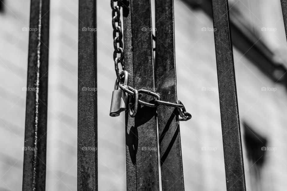 Large padlock on metal gate