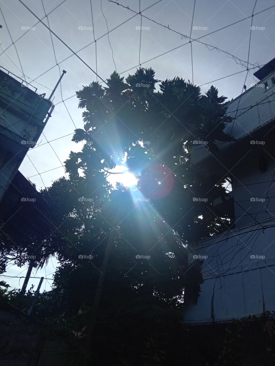 Being a sunshine means shining bright even between the struggles strongly...🌞❤️✨