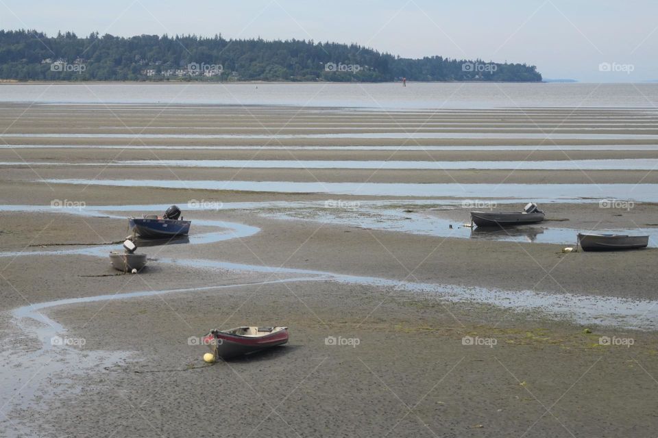 Small boats are stranded during low tide